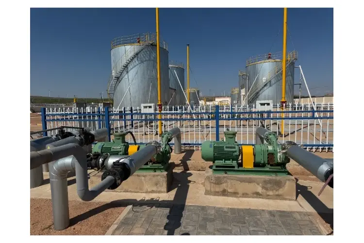 Cam rotary pump for oil petrochemicals project