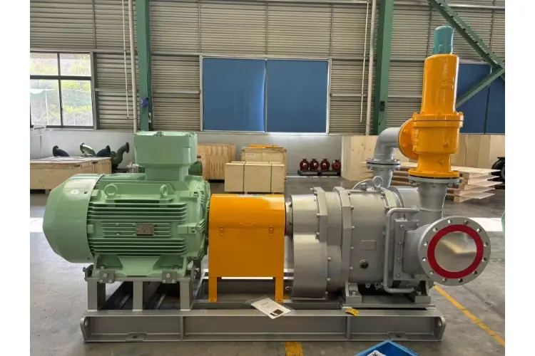 Cam  rotor  pump