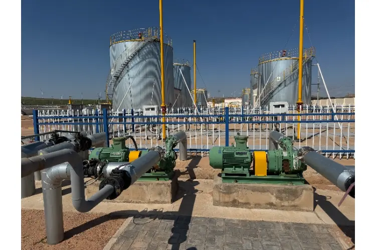 Cam rotor pump