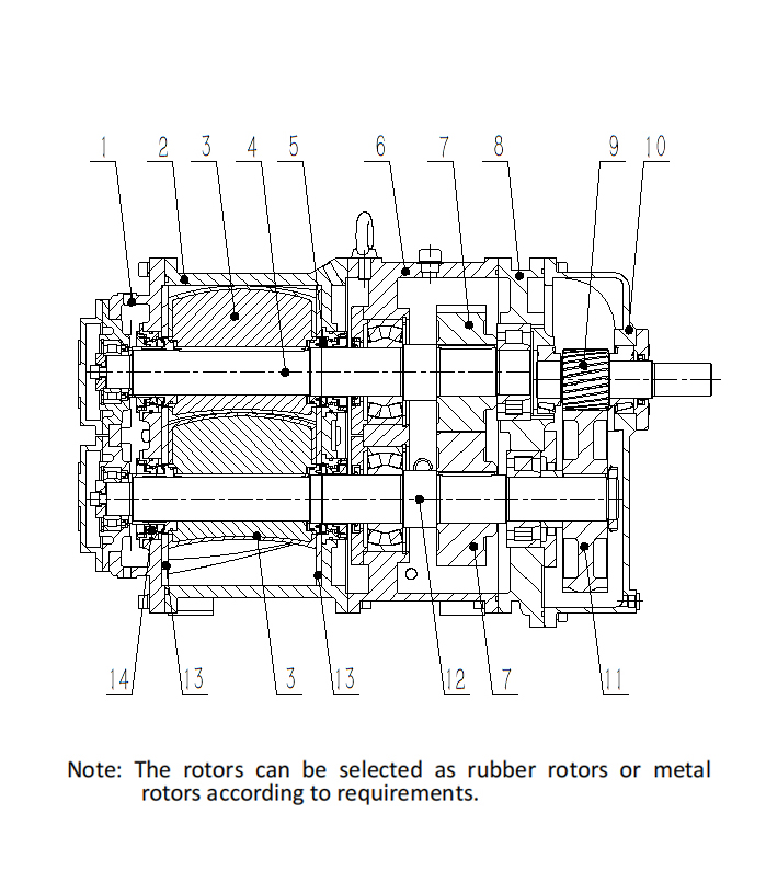 Lobe Pump with Self-Priming Capability