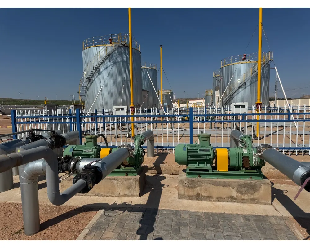 Crude oil transportation rotary pump