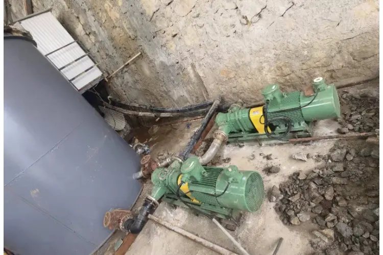 Sludge rotary pump