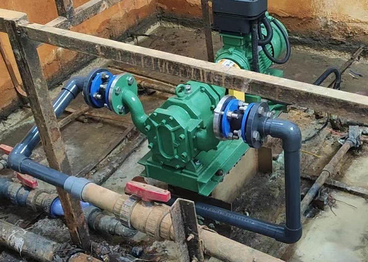 Sludge conveying rotary pump