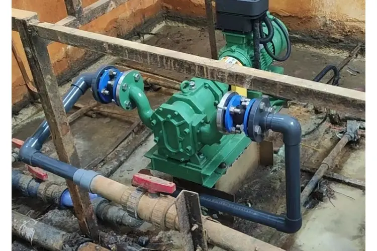 Sludge rotary pump