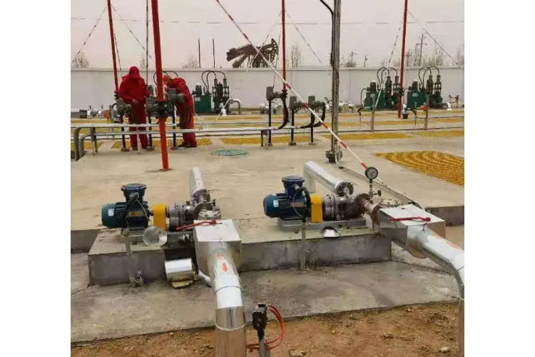 Petroleum rotary pump