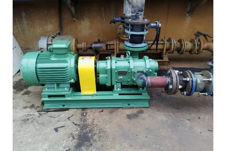 Sewage cam rotor pump